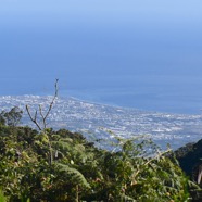  Vue sur Le Port 4199.jpeg