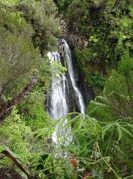 cascade du Bras des Lianes