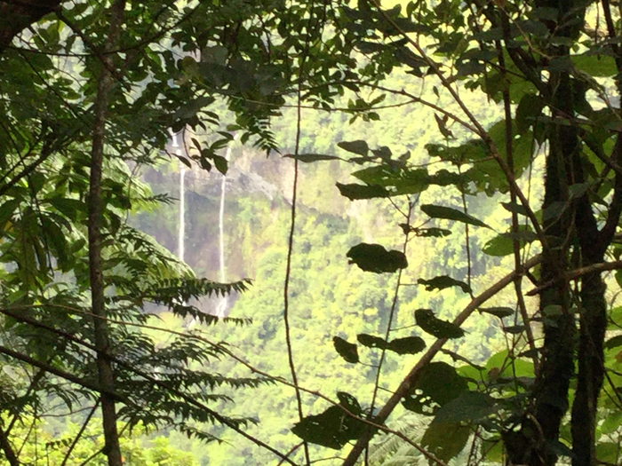 30 Paysage dans les branchages