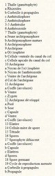 Legende schema cycle de v ie Hépatique à thalle
