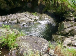 12.  L'arche du Bras des Lianes IMG_3015.JPG