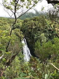 Cascade .IMG_8750