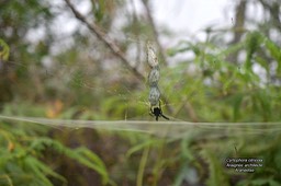 DSC_4765