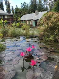 IMG_0691