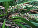 DSC00579