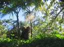 IMG_0266