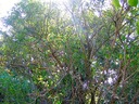 IMG_0270