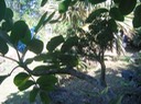 IMG_0273