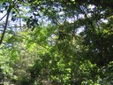 IMG_0274