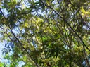 IMG_0278