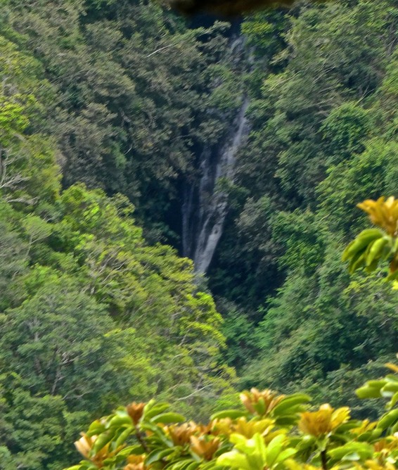 Cascade  P1028800