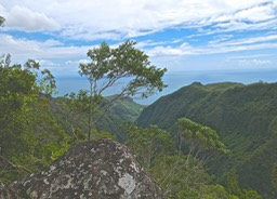 P1028683