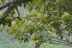 P1028750
