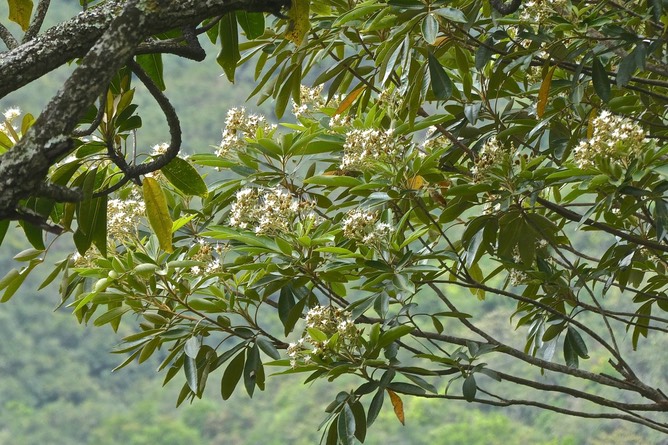 P1028750