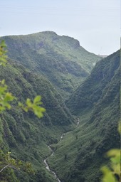 Ravine de la Grande Chaloupe depuis le Cap Francis