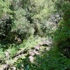 8. Fond de la ravine.jpeg