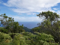 P1010022