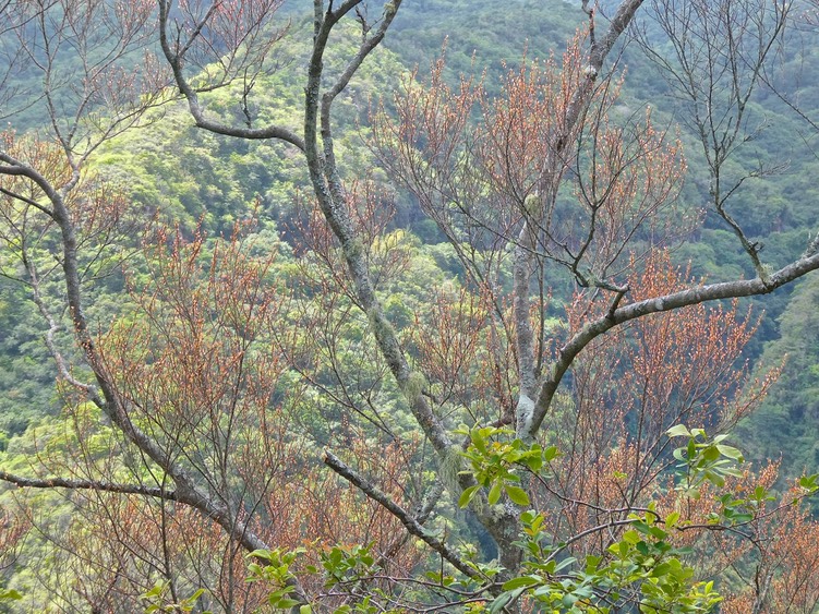 P1003506