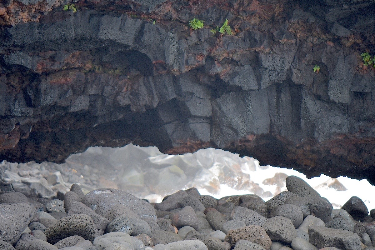 Littoral Cap Méchant 5082.jpeg
