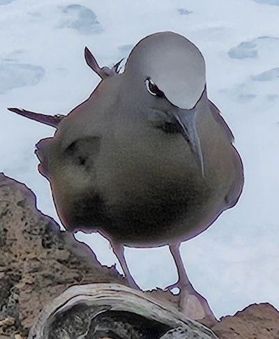 Le Cap M&eacute;chant 5 ao&ucirc;t 2025