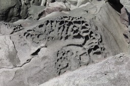 IMG_1099