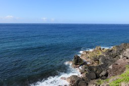 IMG_1107