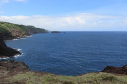 IMG_1170
