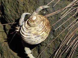 P1000152