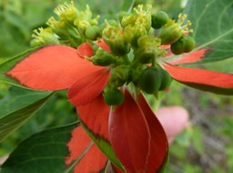 P1000235