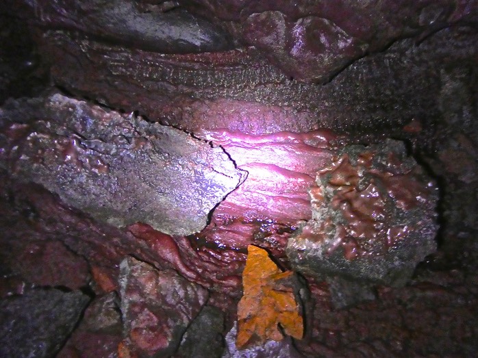 P1800187