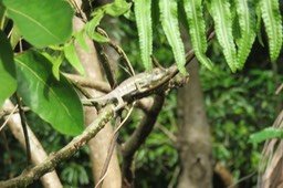 IMG_0002