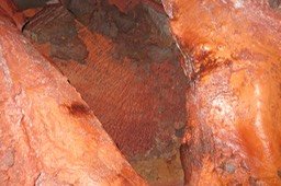 IMG_0019