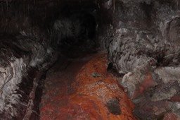 IMG_0021