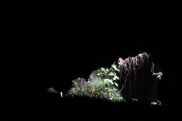 IMG_0025