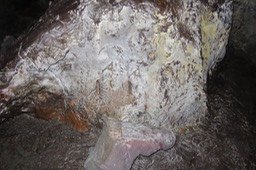 IMG_0027