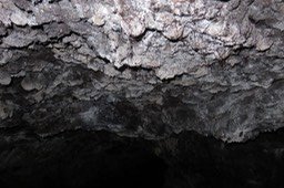 IMG_0028