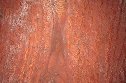 IMG_0034