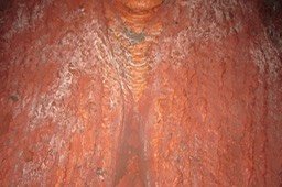 IMG_0035