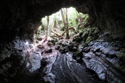 IMG_0037