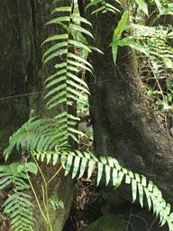 IMG_1702