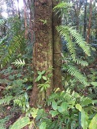 IMG_1705