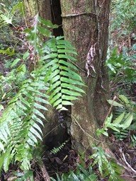 IMG_1706