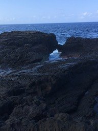 IMG_1722