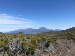 1 - Sur la piste menant à la Caverne des Lataniers Le Grand Bénare, le Piton des Neiges, la Roche Ècrite