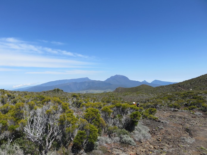 1 - Sur la piste menant à la Caverne des Lataniers Le Grand Bénare, le Piton des Neiges, la Roche Ècrite