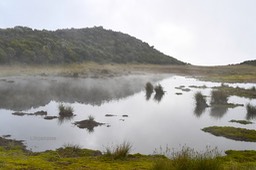 DSC_1364