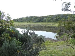 P1670905