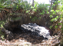 13 - Arche naturelle