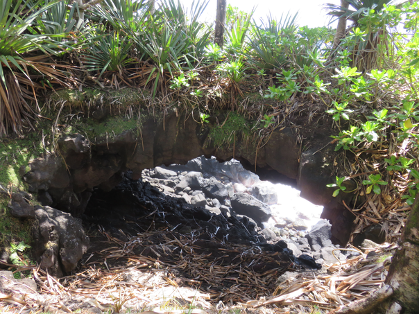 13 - Arche naturelle