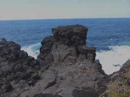 P1020993